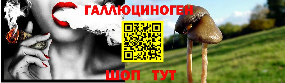 Псилоцибиновые грибы мицелий Гурьевск